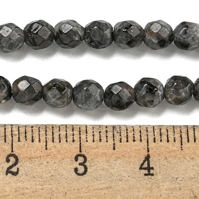 Natural Larvikite Beads Strands G-E571-A09-04-1