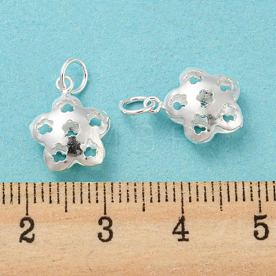 925 Sterling Silver Pendants STER-B002-07S-1