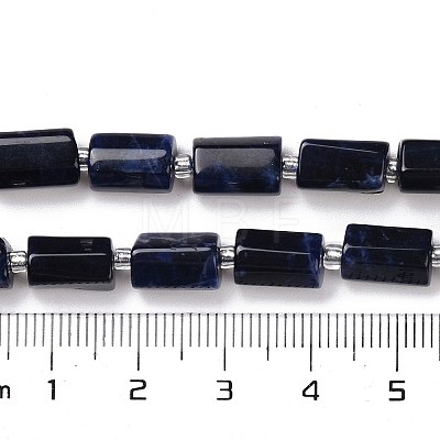 Natural Sodalite Beads Strands G-N327-06-28-1