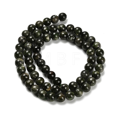 Natural Diopside Beads Strands G-R006-A01-03-1