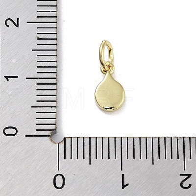 Rack Plating Brass Enamel Charms KK-M293-40G-01-1