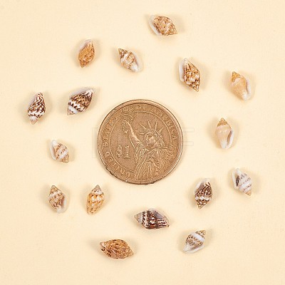 No Hole Spiral Shell Beads SSHEL-YW0001-01-1
