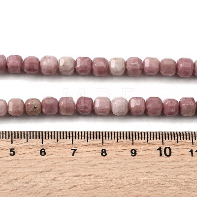 Natural Rhodonite Beads Strands G-F797-A07-01-1