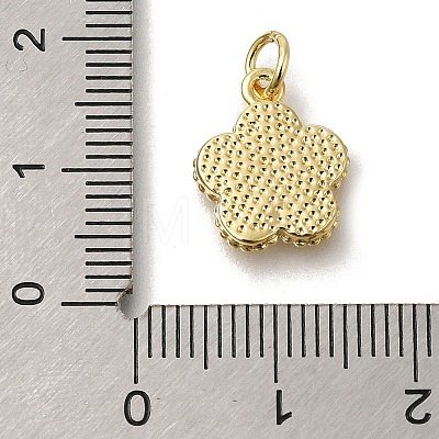 Brass Shell Pendants X-KK-R002-12G-1