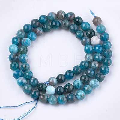 Natural Apatite Beads Strands G-S333-6mm-031-1