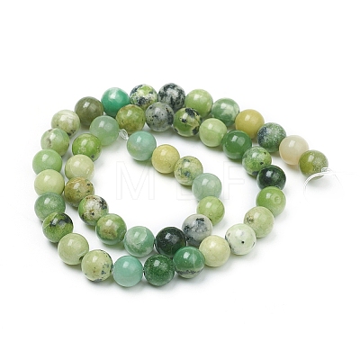 Natural Serpentine Beads Strands X-G-G829-06-8mm-1