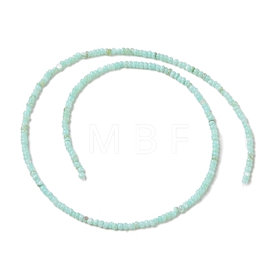 Natural Freshwater Shell Beads Strands SHEL-P017-01A-08-1