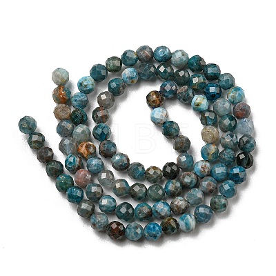Natural Apatite Beads Strands G-K185-02-4MM-01-1