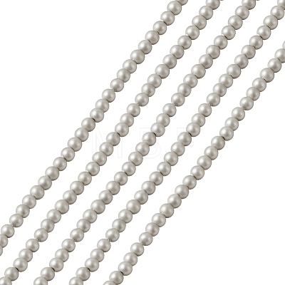 Shell Pearl Beads Strands BSHE-TA0002-03A-4mm-1