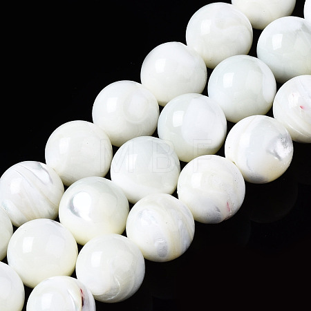Natural Trochid Shell/Trochus Shell Beads Strands SSHEL-S266-023A-04-1