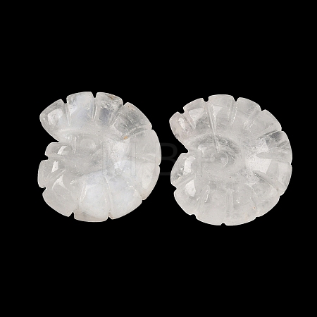Natural Quartz Crystal Conch Display Decorations DJEW-D303-01E-1