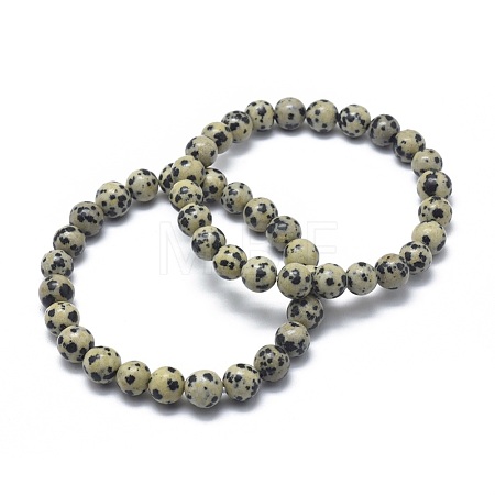 Natural Dalmatian Jasper Bead Stretch Bracelets X-BJEW-K212-A-014-1