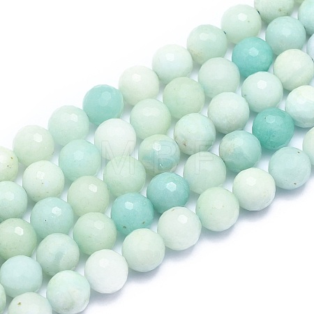 Natural Amazonite Beads Strands G-K310-A02-10mm-1