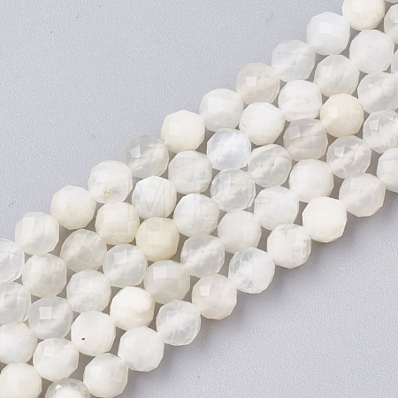 Natural White Moonstone Beads Strands G-T107-13-1