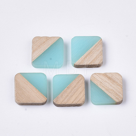 Resin & Walnut Wood Cabochons RESI-S358-A-90H-1