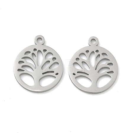 304 Stainless Steel Charms STAS-P433-05P-1