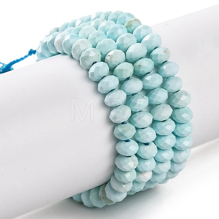 Natural Howlite Beads Strands G-H025-03C-08-1