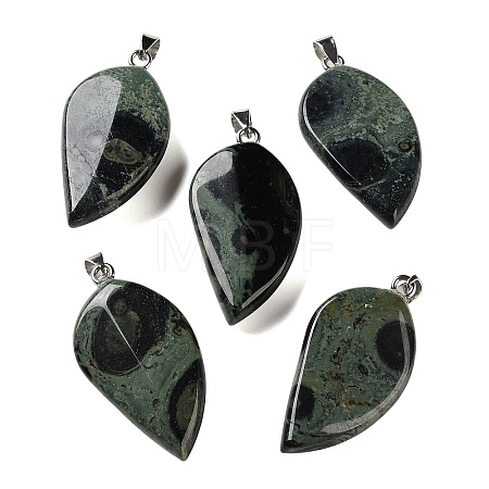 Natural Kambaba Jasper Pendants GG-CBACB71-05P-13-1