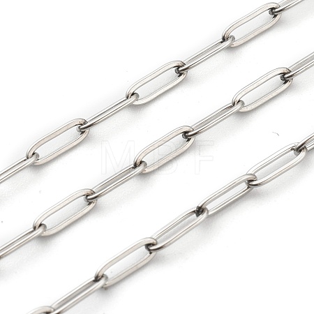 Non-Tarnish 3.28 Feet 304 Stainless Steel Paperclip Chains X-STAS-H111-04P-B-1