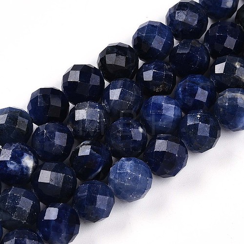 Natural Sodalite Beads Strands G-S345-10mm-26-1