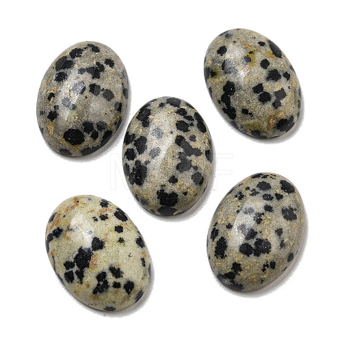 Natural Dalmatian Jasper Cabochons G-C115-01A-10-1