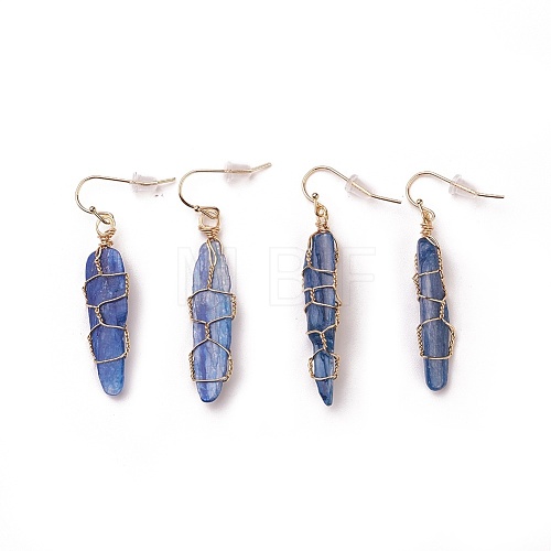 Natural Kyanite Dangle Earrings EJEW-F228-B01-1