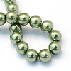Baking Painted Pearlized Glass Pearl Round Bead Strands HY-Q003-6mm-49-4