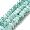 Natural Glass Beads Strands G-I247-27A-1