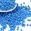 Baking Paint Glass Seed Beads SEED-H002-I-B505-1
