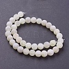 Natural Weathered Agate Beads Strands G-G589-10mm-03-2
