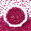 Transparent Inside Colours Glass Seed Beads SEED-T007-11C-1