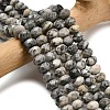 Natural Black Silk Stone/Netstone Beads Strands G-Z111-A45-1