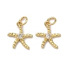 Brass Micro Pave Clear Cubic Zirconia Pendants KK-H256-14G-1