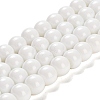 Painted Glass Bead Strands LS-DGLA-S071-12mm-01-1