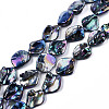 Freshwater Shell Beads Strands X-SHEL-N026-204-1