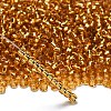TOHO 6/0 Round Beads SEED-XTR06-0022B-2