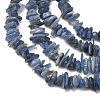 Natural Kyanite/Cyanite/Disthene Chip Beads Strands X-G-E271-78-3