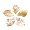 Freshwater Shell Pendants BSHE-S618-1