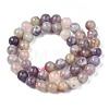 Natural Purple Red Tourmaline  Beads Strands G-N327-02B-01-3