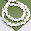 Natural White Shell Mother of Pearl Shell Beads BSHE-CJC0002-04-1