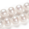 Natural Cultured Freshwater PearlBeads Strands PEAR-G007-25-5