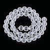 Transparent Glass Beads Strands LS-GLAA-T032-T10mm-MD13-3