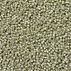 MIYUKI Delica Beads SEED-JP0008-DB1181-3