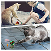 Pet Cat Toys Supplies Kit AJEW-CA0002-01-6
