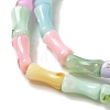 Rainbow Color Dyed Natural Freshwater Shell Beads Strands X1-SHEL-G018-02C-3