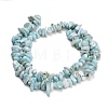 Natural Larimar Beads Strands G-D109-B03-5