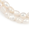 Natural Cultured Freshwater Pearl Beads Strands PEAR-P064-20A-04A-02-4