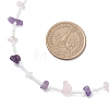 Natural Amethyst & Rose Quartz Chip & Glass Seed Baeded Necklaces for Women NJEW-JN05603-03-5