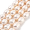 Natural Cultured Freshwater Pearl Beads Strands PEAR-P062-14D-1