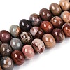 Natural Ocean Jasper Beads Strands G-T144-53A-01-4